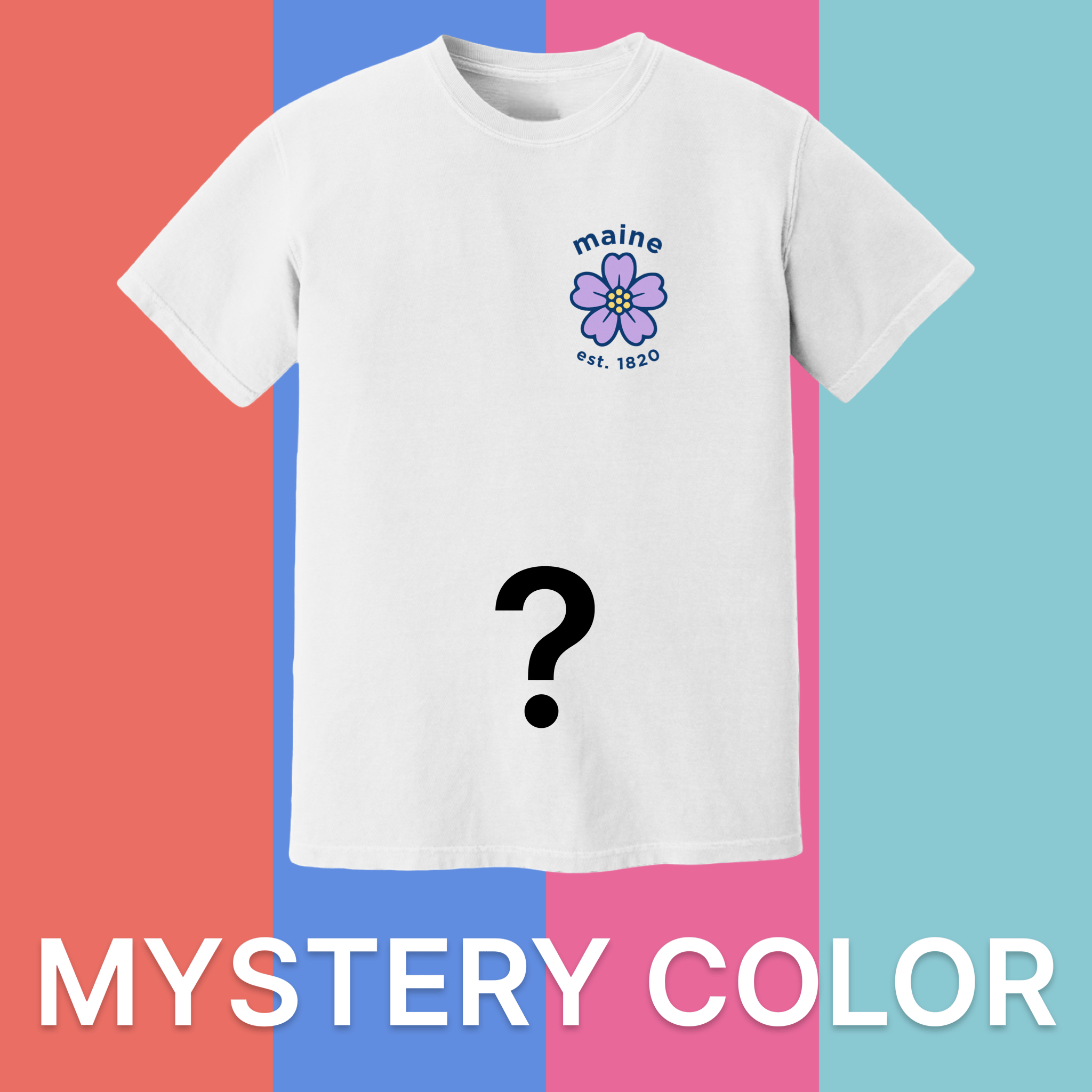 Cape Cod Clothing Company Maine Sea Lavender Comfort Colors T-Shirt - Mystery Color