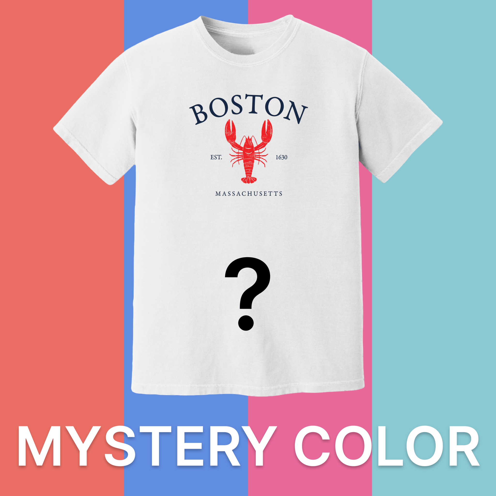 Cape Cod Clothing Company Boston Vintage Lobster Comfort Colors T-Shirt - Mystery Color