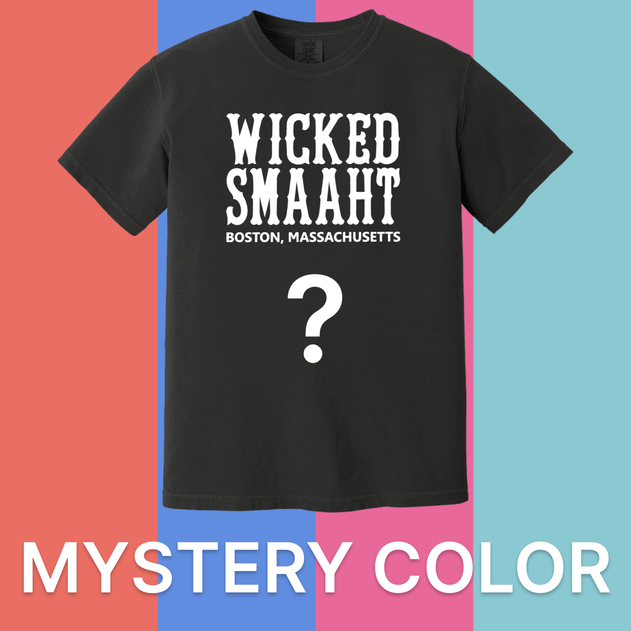 Cape Cod Clothing Company Boston Wicked Smaaht Comfort Colors T-Shirt - Mystery Color