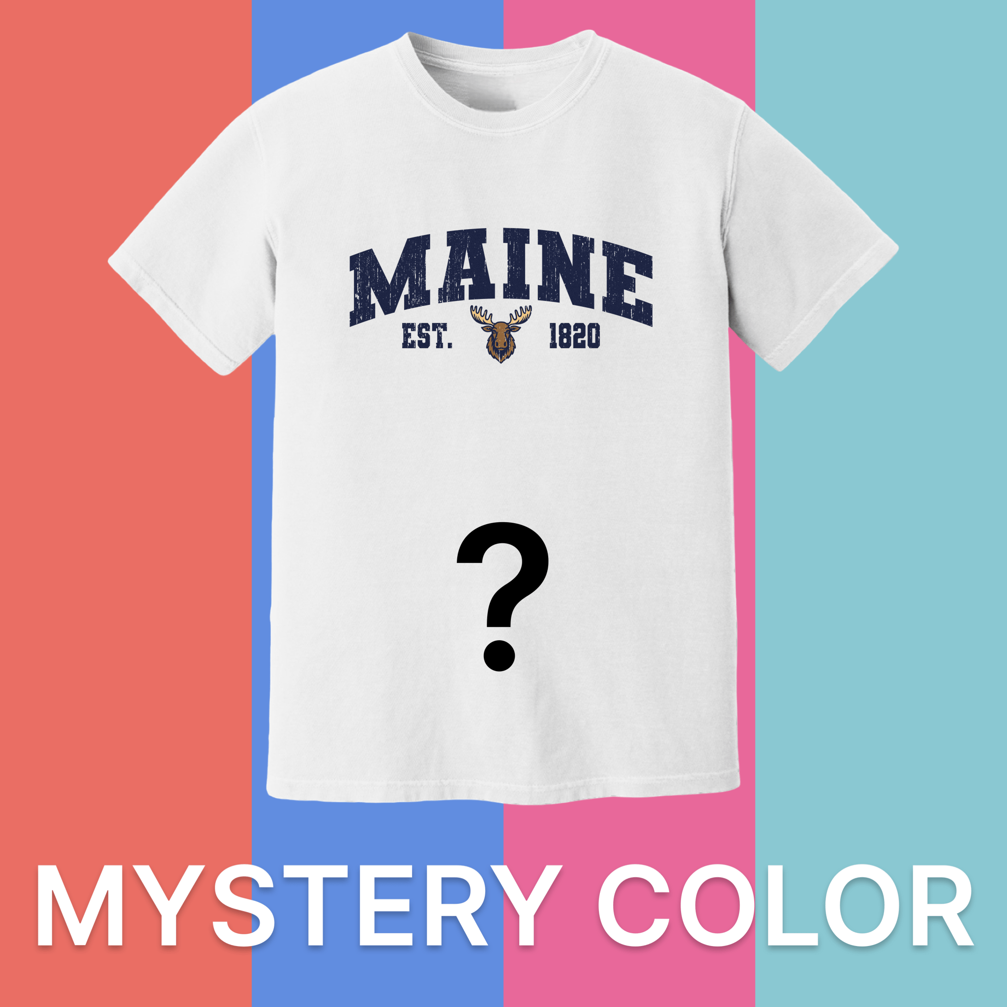 Cape Cod Clothing Company Maine Moose Comfort Colors T-Shirt - Mystery Color