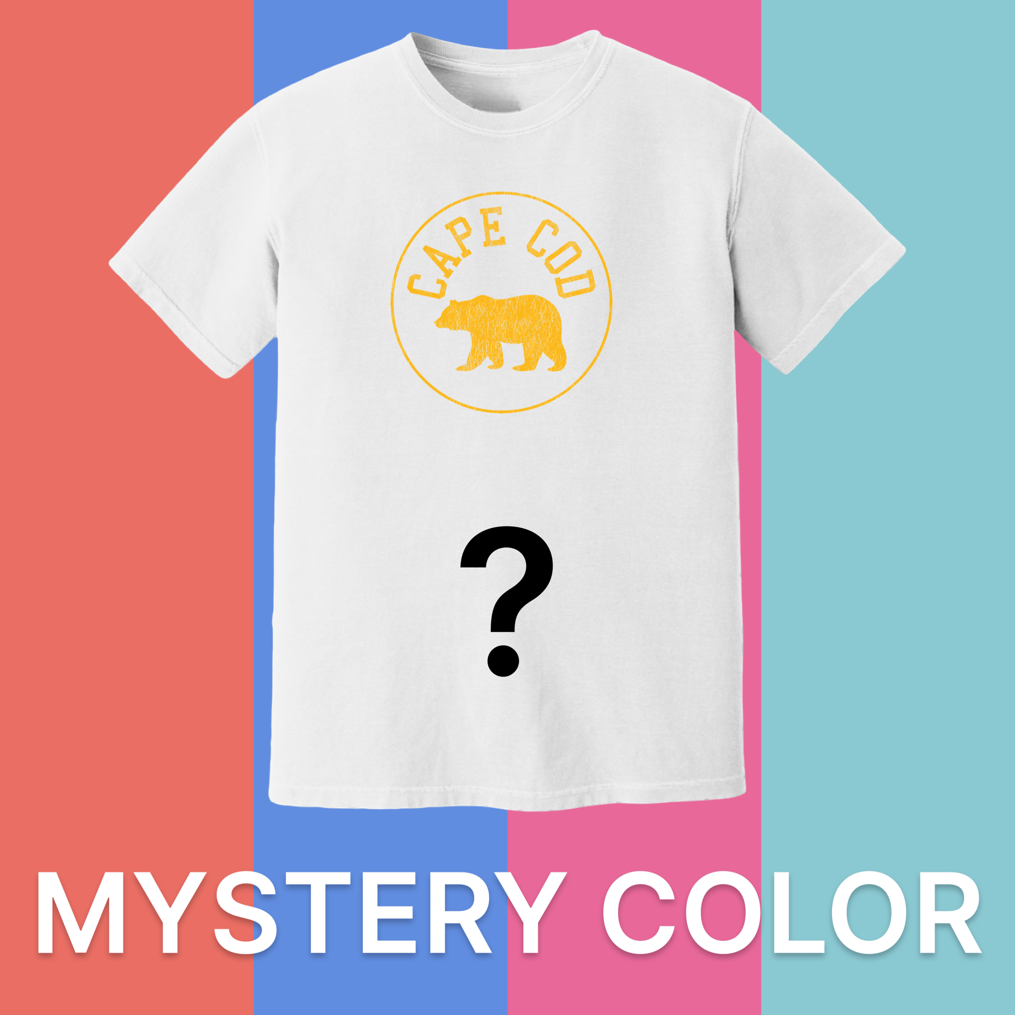 Cape Cod Clothing Company Cape Cod Legacy Bear Comfort Colors T-Shirt - Mystery Color