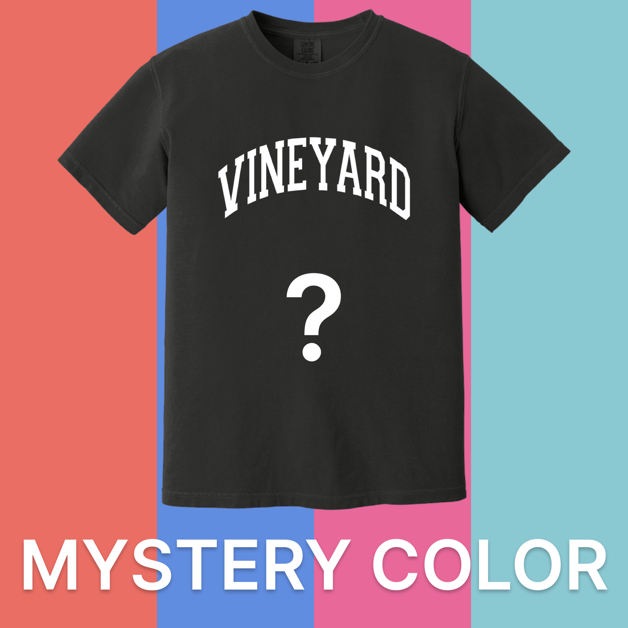 Martha's Vineyard Comfort Colors T-Shirt - Mystery Color