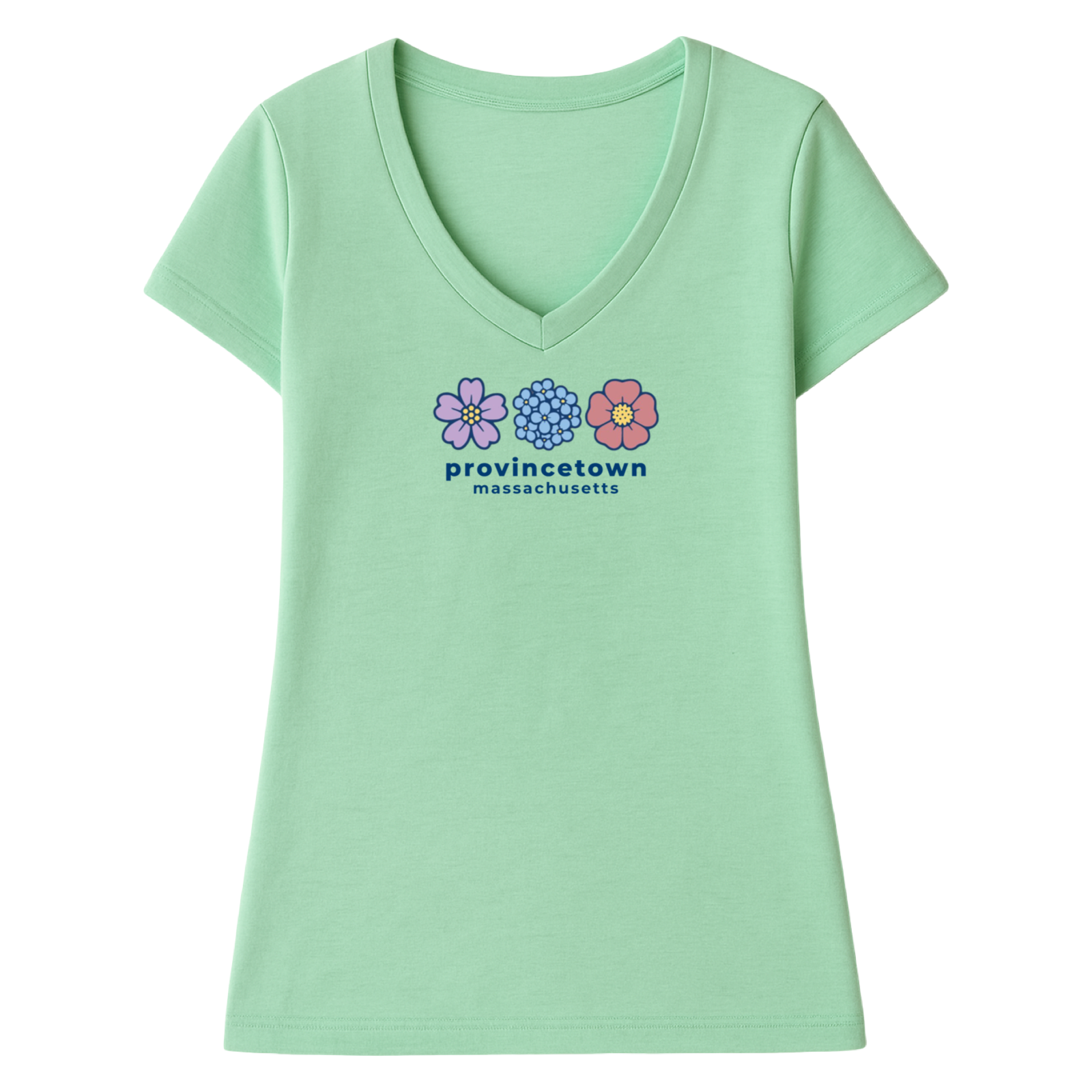 Provincetown Summer Bloom Ladies V-Neck T-Shirt