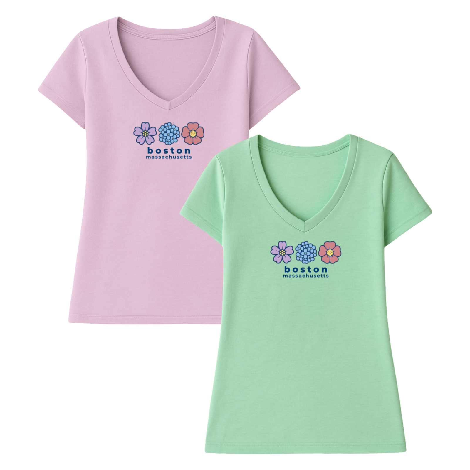 Boston Summer Bloom Ladies V-Neck T-Shirt