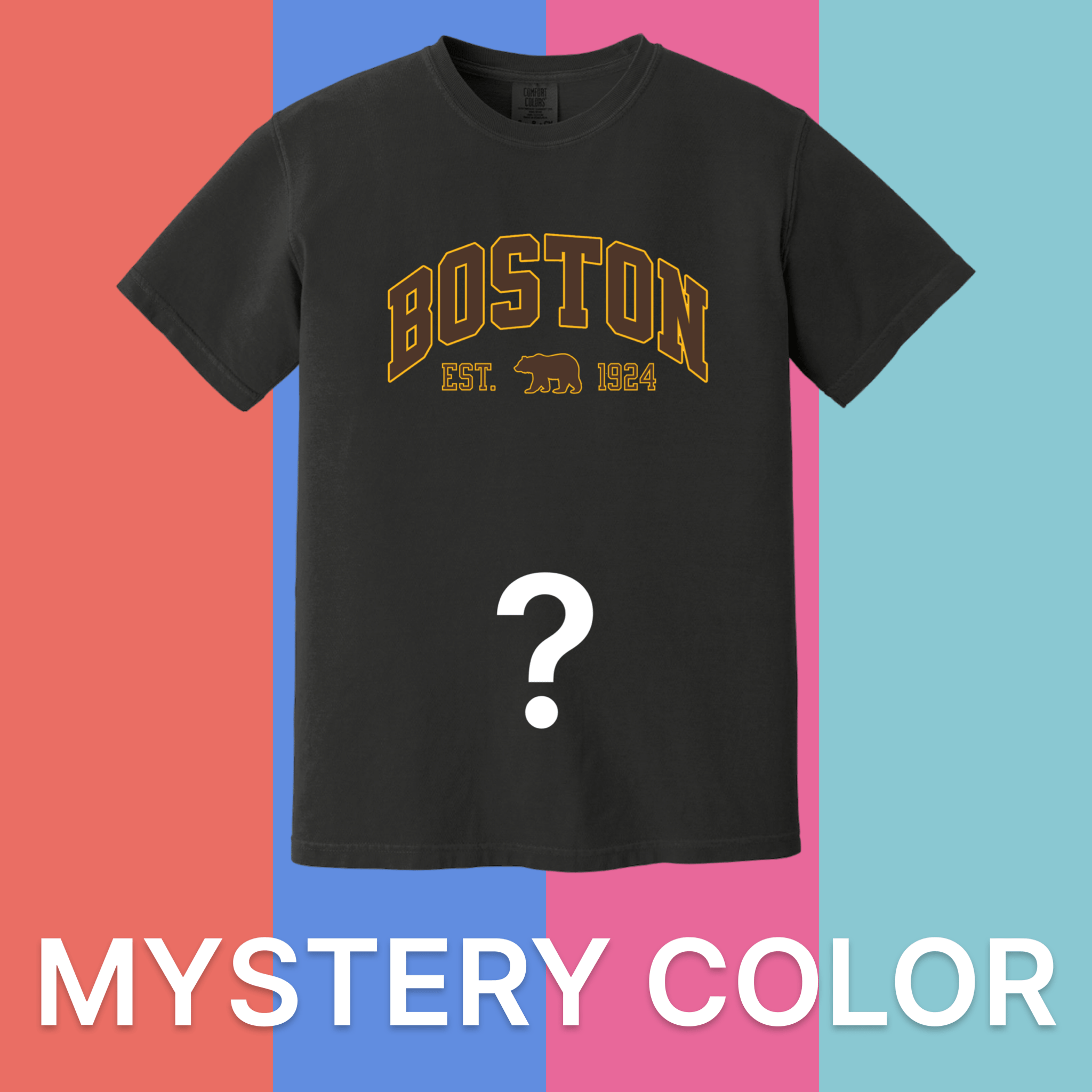 Boston Vintage Hockey Comfort Colors T-Shirt - Mystery Color