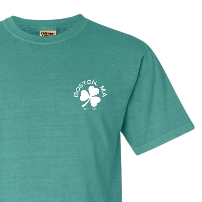 boston shamrock comfort colors t-shirt, seafoam