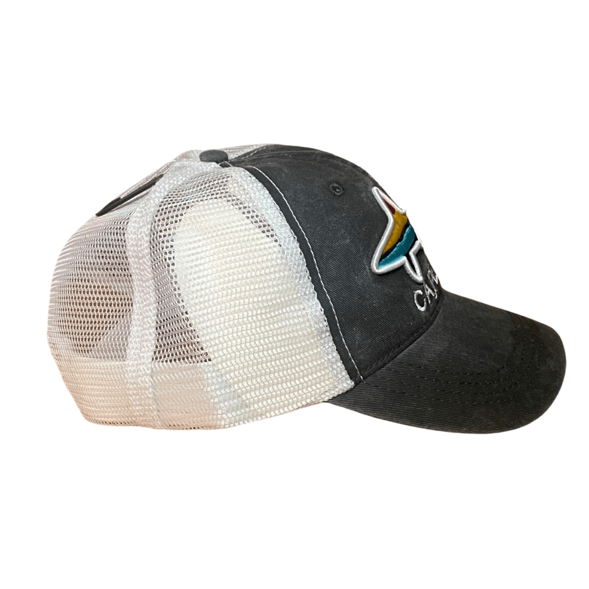 cape cod shark colorful snapback hat