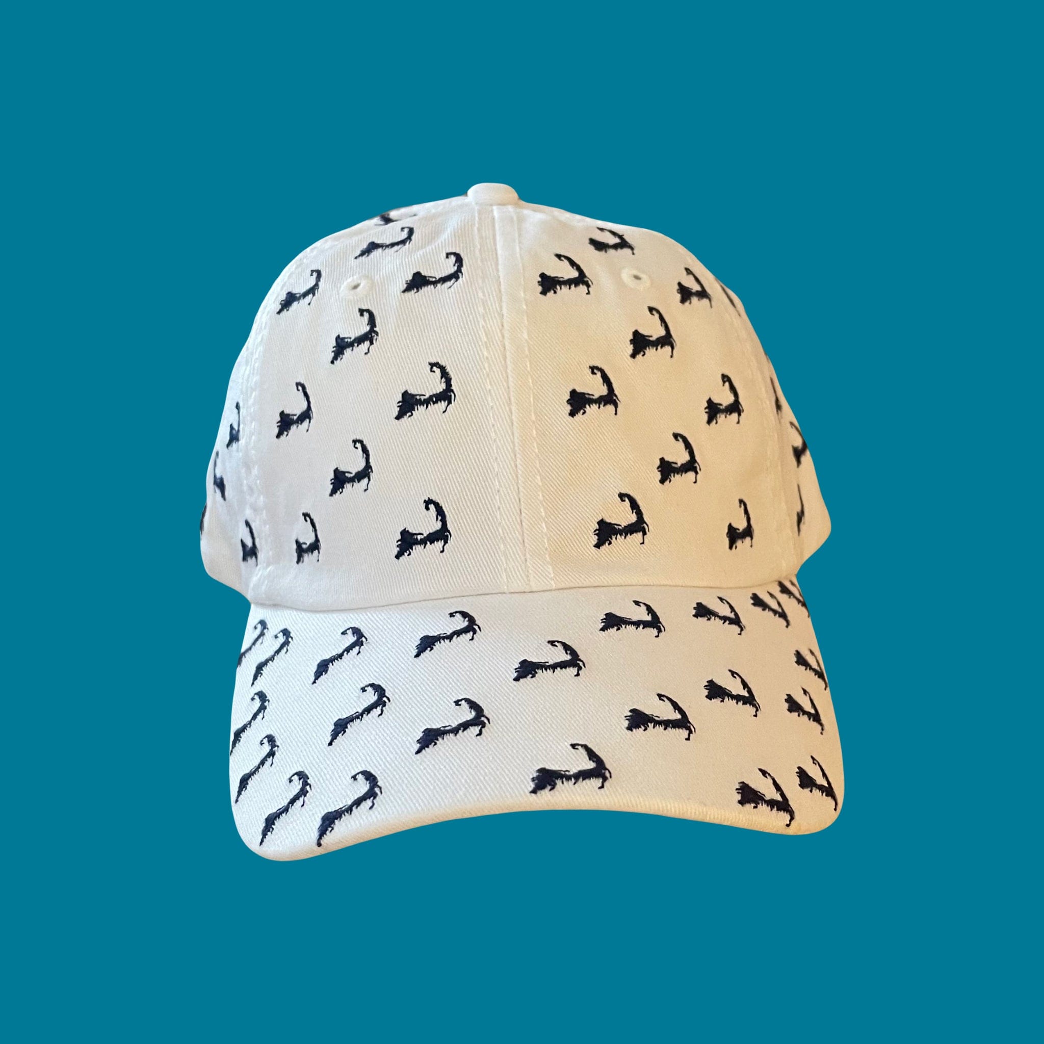 Cape Cod Pattern Adjustable Hat